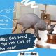 The Ultimate Guide: Best Cat Food for Sphynx Health | World’s Most Delicious Foods: Must-Try Dishes from Every Country