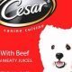 Best Westie Dog Food: Breed-Specific Nutrition Guide | World’s Most Delicious Foods: Must-Try Dishes from Every Country