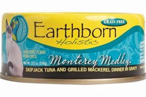 Best Earthborn Canned Cat Food: Reviews & More! | World’s Most Delicious Foods: Must-Try Dishes from Every Country