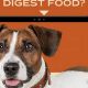 Dog Digestion: How Long Does a Dog Take to Digest Food? Guide | World’s Most Delicious Foods: Must-Try Dishes from Every Country