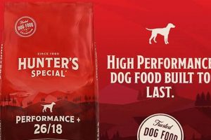 Is Little Hunters Dog Food Right For Your Small Dog? World’s Most Delicious Foods: Must-Try Dishes from Every Country Is Little Hunters Dog Food Right For Your Small Dog? | World’s Most Delicious Foods: Must-Try Dishes from Every Country