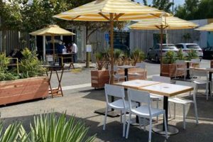 Best Thai Food Venice Beach, CA: A Local's Guide World’s Most Delicious Foods: Must-Try Dishes from Every Country Best Thai Food Venice Beach, CA: A Local's Guide | World’s Most Delicious Foods: Must-Try Dishes from Every Country