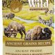 Best Taste of the Wild Dog Food: Ancient Grains Diet Guide | World’s Most Delicious Foods: Must-Try Dishes from Every Country