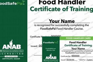 Get Your New Mexico Food Handlers Certificate Fast! World’s Most Delicious Foods: Must-Try Dishes from Every Country Get Your New Mexico Food Handlers Certificate Fast! | World’s Most Delicious Foods: Must-Try Dishes from Every Country