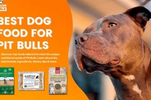 Guide: What's the Best Puppy Food for Pitbulls? Top Choices World’s Most Delicious Foods: Must-Try Dishes from Every Country Guide: What's the Best Puppy Food for Pitbulls? Top Choices | World’s Most Delicious Foods: Must-Try Dishes from Every Country