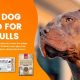 Guide: What's the Best Puppy Food for Pitbulls? Top Choices | World’s Most Delicious Foods: Must-Try Dishes from Every Country