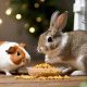 Rabbit Food Woes: Can Rabbits Eat Guinea Pig Food? Guide | World’s Most Delicious Foods: Must-Try Dishes from Every Country