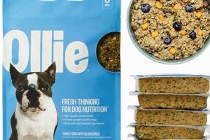 Best Dog Food with Blueberries: Benefits & Choices | World’s Most Delicious Foods: Must-Try Dishes from Every Country