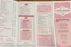Best Chinese Food Weymouth MA: Your Ultimate Guide | World’s Most Delicious Foods: Must-Try Dishes from Every Country