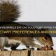 Can Wild Squirrels Eat Cat Food? Risks &amp; Alternatives | World’s Most Delicious Foods: Must-Try Dishes from Every Country