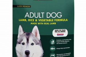 Is Lamb and Brown Rice Dog Food Right for Your Dog? | World’s Most Delicious Foods: Must-Try Dishes from Every Country