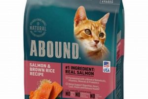 Abound Canned Cat Food: Is it the Best Can For Your Cat? | World’s Most Delicious Foods: Must-Try Dishes from Every Country