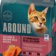 Abound Canned Cat Food: Is it the Best Can For Your Cat? | World’s Most Delicious Foods: Must-Try Dishes from Every Country