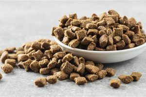 Top-Rated Dry Cat Food for Liver Problems: Expert Choices | World’s Most Delicious Foods: Must-Try Dishes from Every Country
