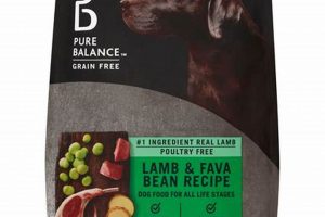 Lamb Dog Food for Allergies: Best Options Guide | World’s Most Delicious Foods: Must-Try Dishes from Every Country