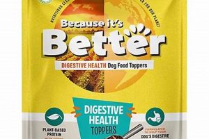 Why It's Better Dog Food: Healthier, Happier Dogs! | World’s Most Delicious Foods: Must-Try Dishes from Every Country