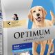 The Optimum Dog Food Guide: Feeding Your Dog Right! | World’s Most Delicious Foods: Must-Try Dishes from Every Country