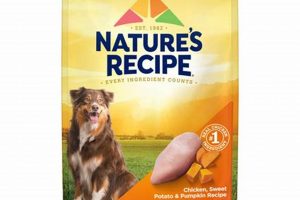 Best Dog Food With No By-Products: Healthier Options | World’s Most Delicious Foods: Must-Try Dishes from Every Country