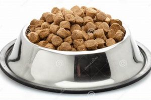 Plate Perfect: Dog Food on a Plate Feeding Guide | World’s Most Delicious Foods: Must-Try Dishes from Every Country