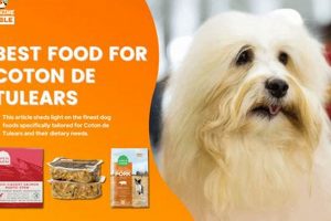 Coton de Tulear's Best Food: A Guide | World’s Most Delicious Foods: Must-Try Dishes from Every Country