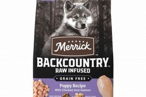Best Merrick Dog Food Puppy Options: Fuel Your Pup's Growth! | World’s Most Delicious Foods: Must-Try Dishes from Every Country