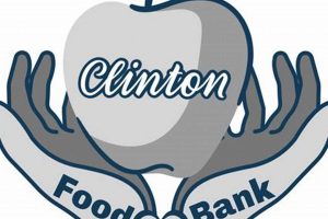 Your Guide to Clinton Food Bank Services + More! | World’s Most Delicious Foods: Must-Try Dishes from Every Country