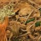 Authentic Thai Food Snohomish: Your Local Guide | World’s Most Delicious Foods: Must-Try Dishes from Every Country
