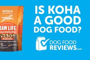 Honest Koha Dog Food Reviews: Is It Right For Your Dog? | World’s Most Delicious Foods: Must-Try Dishes from Every Country