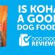 Honest Koha Dog Food Reviews: Is It Right For Your Dog? | World’s Most Delicious Foods: Must-Try Dishes from Every Country