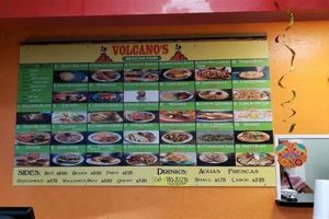 Volcano's Mexican Food: Menu, Prices & More | World’s Most Delicious Foods: Must-Try Dishes from Every Country