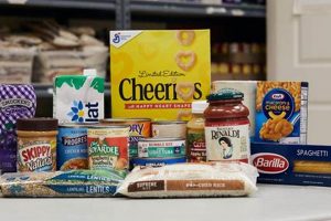 Ottawa IL Food Pantry: Find Help + How to Donate | World’s Most Delicious Foods: Must-Try Dishes from Every Country