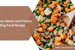 Best Turkey Sweet Potato Dog Food: Healthy & Delicious! | World’s Most Delicious Foods: Must-Try Dishes from Every Country
