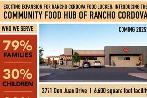 Your Guide: Food Banks in Rancho Cordova CA + Help | World’s Most Delicious Foods: Must-Try Dishes from Every Country