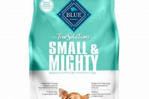 Best Dog Food for Senior Small Breeds: Healthy Aging Tips | World’s Most Delicious Foods: Must-Try Dishes from Every Country