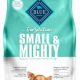 Best Dog Food for Senior Small Breeds: Healthy Aging Tips | World’s Most Delicious Foods: Must-Try Dishes from Every Country