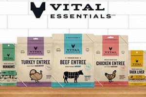 Raw Vital Essentials Dog Food: Fueling Canine Vitality | World’s Most Delicious Foods: Must-Try Dishes from Every Country
