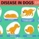 Best Dog Food for Liver Health: Liver Problems Solved! | World’s Most Delicious Foods: Must-Try Dishes from Every Country