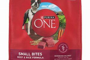 Small Bites Dog Food: Expert Tips &amp; Brands Guide | World’s Most Delicious Foods: Must-Try Dishes from Every Country