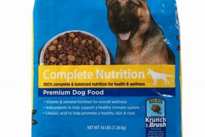Best Field & Trial Dog Food: Fuel Your Dog's Performance | World’s Most Delicious Foods: Must-Try Dishes from Every Country