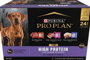 Best High Protein Wet Dog Food For Your Pup + Benefits | World’s Most Delicious Foods: Must-Try Dishes from Every Country