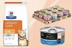 Top Best Urinary Health Cat Food Guide: Expert Picks! | World’s Most Delicious Foods: Must-Try Dishes from Every Country
