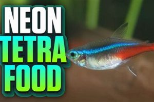 Top-Rated Best Food for Neon Tetras: Guide & More! | World’s Most Delicious Foods: Must-Try Dishes from Every Country