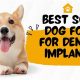Top Choices: Best Soft Food for Dogs After Dental Surgery Guide | World’s Most Delicious Foods: Must-Try Dishes from Every Country