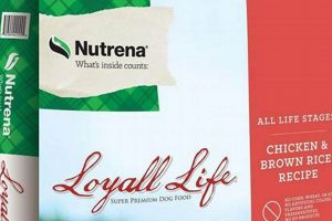 Best Loyall Dog Food Options: Nutrition & Beyond! | World’s Most Delicious Foods: Must-Try Dishes from Every Country