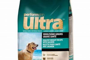 Best Ultra Dog Food Guide: Fueling Happy & Healthy Pups | World’s Most Delicious Foods: Must-Try Dishes from Every Country