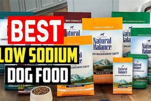 The Best Low Sodium Dog Food: Diet, Brands & More | World’s Most Delicious Foods: Must-Try Dishes from Every Country