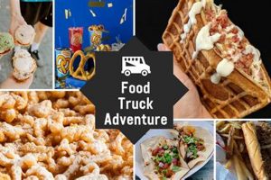 Best Harrisburg Food Trucks: Eats & Reviews Near You | World’s Most Delicious Foods: Must-Try Dishes from Every Country