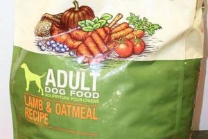 Is Lamb & Oatmeal Dog Food Right for Your Pup? | World’s Most Delicious Foods: Must-Try Dishes from Every Country