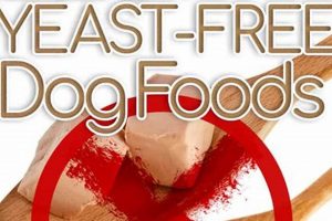 The Best Dog Food Without Yeast: Healthy Choices! | World’s Most Delicious Foods: Must-Try Dishes from Every Country