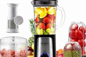 Best Small Blender for Dog Food: Healthy & Homemade! | World’s Most Delicious Foods: Must-Try Dishes from Every Country